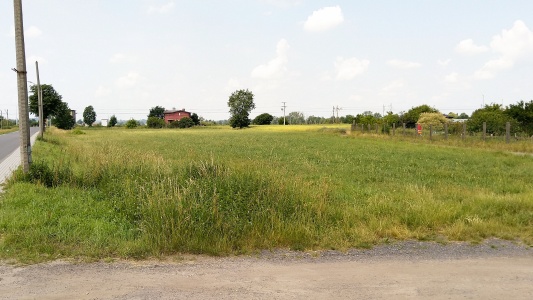 Galeria zdjęć 