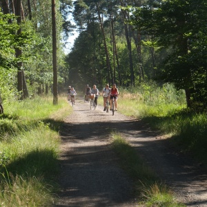 Galeria zdjęć 