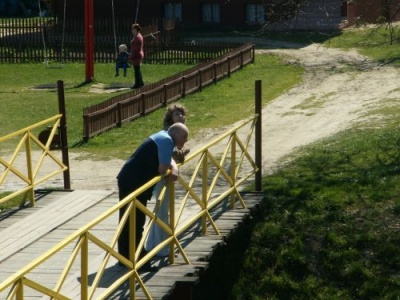 Galeria zdjęć 